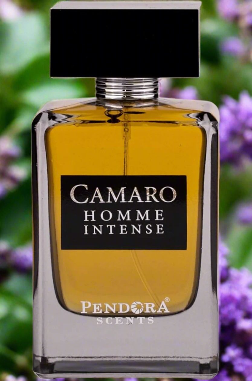 Paris Corner Camaro Homme Intense